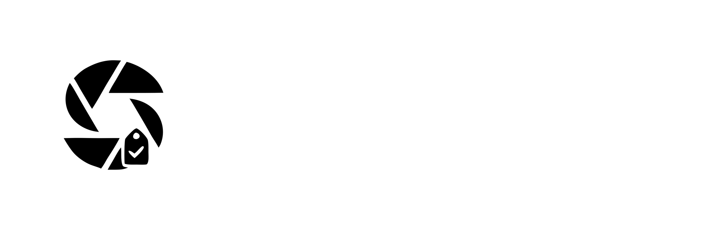 Horizontal Logo White